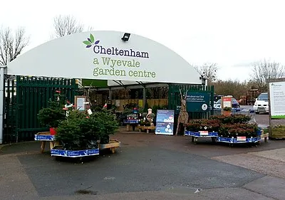 Wyevale, Cheltenham