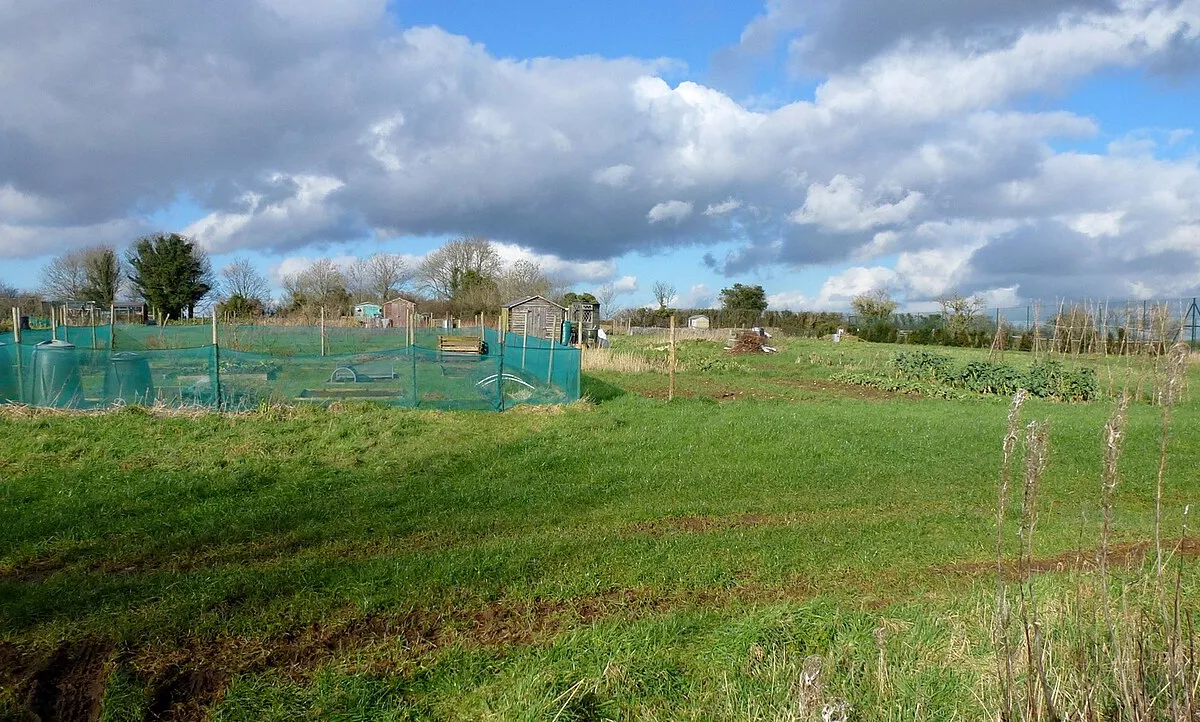 Allotments, Oakridge