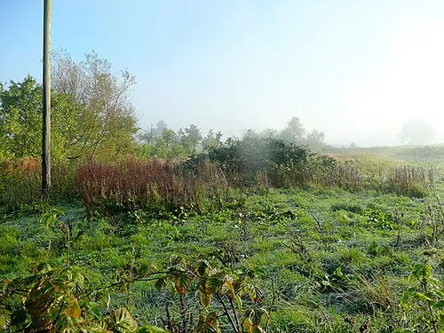 Lassington Court