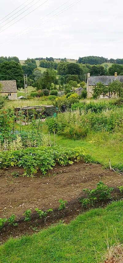 Allotments at Guiting Power