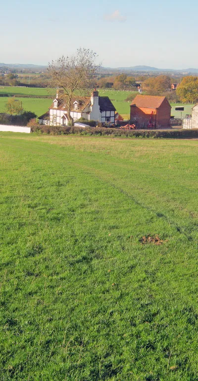 Common Farm