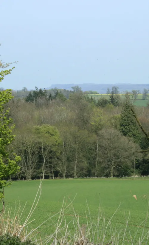 Sandy Lane