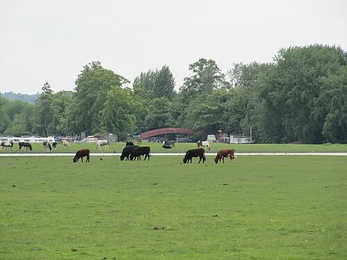 Round Hill