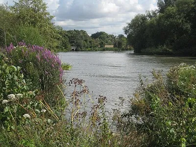 Looking down the Thames towards the emergence of Swift Ditch