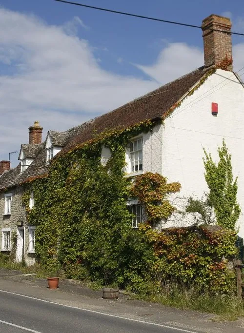 Buscot