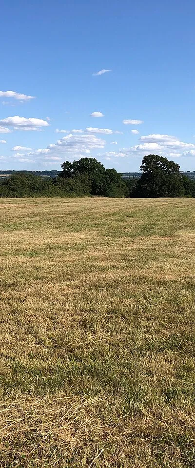 Field near Flaxlands Reservoir