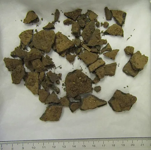 Treasure Report for H.M Coroner
2015 T656 - Vessel and bracelet hoard, from near Wakefield, West Yorkshire
To be known as the 'Brookfield Hoard' (named after the finders, at their request)
PAS no.: SWYOR-1494DB
Circumstances of Discovery 
On 13th September 2015, a group of Iron Age objects were found by [name redacted] while metal detecting at a 'Coil to the Soil' rally in North Elmsall, near Wakefield in West Yorkshire (grid reference provided). Amy Downes, Finds Liaison Officer for the Portable Antiquities Scheme in West Yorkshire, was able to attend the site within two hours of the discovery. The finds included a copper alloy strainer vessel, a pottery vessel, and five copper alloy bracelets - a single wire piece and two pairs in more robust designs. The finder reported that the strainer was found inverted on top of the upright pottery vessel, with the five bracelets underneath the pot. The four larger bracelets were interlinked at the bottom of the deposit, with the more delicate bracelet on top of them. These finds were lifted on the day of discovery. The pottery vessel collapsed during lifting.
Other finds, including Roman sestertii, were made in the same area by detectorists taking part in the rally, but these did not seem to be directly associated with the strainer hoard (see 2015 T658).
Archaeological Investigation
The day after the discovery, 14th September 2015, a team from West Yorkshire Archaeology Advisory Service (WYAAS) and Archaeological Services WYAS (ASWYAS) attended to carry out a small-scale excavation (ASWYAS Report No. 2804). A test pit measuring 2.15m x 1.50m was excavated by hand by archaeologists Ian McIntyre (ASWYAS) and David Hunter (WYAAS). This test pit was an expansion of several smaller pits dug on the previous day by members of the detecting club. A metal detector was used to comprehensively scan the test pit, spoil and surrounding area.
The test pit revealed a feature, thought to be a linear terminus or a pit. The upper fill contained large stones, possibly suggesting a packing material. It contained one sherd of Romano-British pottery along with animal bone, fired clay and iron nails. The lower fill contained Romano-British pottery sherds and one small piece of burnt bone. The feature was not excavated to its base. In total, the additional finds recovered as part of the archaeological excavation comprised 23 sherds of pottery, eleven bone fragments, four pieces of fired clay, an iron nail, and a possible piece of iron slag.
Due to the complexity of the underlying geology, and the digging which had occurred the previous day, it was not possible to ascertain with certainty whether the strainer hoard was from the same feature as the archaeological finds. However, given the rarity of Roman pottery in West Yorkshire, it is likely that the two could be linked (Hunter and Sanderson, pers. comm.). However, because they cannot be conclusively demonstrated to be part of the same find, the archaeological finds are not included in this Treasure report.
Description
1.Copper alloy strainer
A round-bottomed hemispherical bowl made of thin, copper alloy sheet. The wide, projecting rim has a separate binding-strip attached around the edge.
The bottom of the strainer bowl is decorated with small perforated holes, just over a millimetre in diameter, forming a decorative pattern centred on the base of the strainer. There are two concentric outer rings of holes and, in the centre, a triskele radiates outwards from a small central circle. The design covers around a third of the depth of the bowl, although this is much of the visible surface area when looking directly down into the strainer. The remaining surface area of the upper bowl is smooth and undecorated.
The strainer bowl is rimmed with a wide, flat flange. The bowl and flange were made from one sheet of copper alloy, either beaten into shape or turned on a lathe. Around the circumference of the flange a separate copper alloy binding strip has been added.
The strainer is mostly complete but has suffered plough damage to around a third of its side prior to discovery, in this area the rim has been torn away and the flange is heavily damaged. There is also some damage to the decoration on the base.
Parts of the outer side of the base have a rich, smooth, dark green patina. The rest of the surface is more corroded, both inside and outside the strainer, with areas of lighter green concretions.
There are also three detached fragments: two binding fragments and one section of flange. One binding fragment has a clean edge suggesting that this was the point on the circumference where the two ends of the binding strip met.
Measurements:
Maximum diameter of bowl (including flange): approx. 200 mm; width of binding: 5mm; depth of binding: 4 mm; thickness of binding in cross-section: 0.5-1.0 mm; width of flange (including binding): 25 mm; diameter of bowl (excluding flange): 151 mm; depth of strainer: 64 mm.
Diameter of outer circle of perforated holes: 95 mm; diameter of inner circle: 89 mm; diameter of central circle inside triskele: 20 mm.
Weight: 291g
Smallest binding fragment: Length: 24.5mm, Weight: 0.89g
Longest binding fragment: Length: 133mm, Weight: 12.72g
Flange fragment: Maximum remaining length: 48mm, Maximum remaining width: 29mm, Thickness in cross-section: 0.2-0.4mm, Weight: 3.63g
Parallels:
Hemispherical strainer vessels are rare finds. The closest parallel to the Brookfield hoard strainer is one from the Langstone hoard (NMGW-9C0216; Gwilt et al. Unpublished Treasure Report). Found near Newport, South Wales, in 2007, this hoard consisted of a strainer vessel and two metal bowls. A tankard was also found nearby. The Langstone strainer is similar in many respects to the Brookfield find: both are decorated with a triskele design, and have wide flanges. However, the Langstone strainer is slightly smaller, and has handles attached to both sides, whereas Brookfield has no handles. Langstone also has a simple up-turned rim, rather than a separate binding strip. The rendering of the triskele also differs, with the Langstone triskele depicted through the 'absence of perforations' in the base of the bowl, contrasting with the perforated design of Brookfield (Gwilt et al. Unpublished Treasure Report).
In his write-up of the Langstone hoard, Gwilt (Gwilt et al. Unpublished Treasure Report) lists several other comparable finds based on the corpus of broad-flanged strainers without handles published by Tomalin (1989). Three are from vessel hoards in Wales (finds from Manorbier and Cogyan Cave), one from a hoard at Helmsdale in Sutherland, north Scotland, and two single finds have been recovered: one from Marston Moor near York, and one from Thorpe, in Suffolk. The strainers from vessel hoards are associated with Romano-British style objects, such as trulleii and shallow bowls, which Tomalin (1989) used to suggest a date in the later first or early second century AD.
However, the Langstone strainer was found in conjunction with two Iron Age style bowls, of earlier date. As the strainer fits both bowls, it is believed all three functioned as a set. Gwilt uses this association to argue for pushing the dating of these strainers back to earlier in the first century AD. For the Langstone find, he suggests a date of AD 40-60 for manufacture, and burial in the period AD 40-75, around the time of the Roman campaigns in Wales (AD 47-78) (Gwilt et al. Unpublished Treasure Report).
Gwilt's dating is also borne out by his observation of the designs on the southern strainers, which are typical of conquest-period Celtic art. The Welsh strainers often combine indigenous decorative traditions with new Romano-British style designs, incorporating various combinations of triskeles, running-scrolls and geometric border decoration of infilled triangles. The Thorpe strainer, a single find from Suffolk, does not feature a triskele, but nevertheless does have a 'triple' element to its design. Most of the bowl was destroyed during gravel extraction, but enough survives that the design can be reconstructed to view the perforated outline of three circles at the top of the bowl. This potentially echoes the triskele design on the Langstone (Gwilt et al. Unpublished Treasure Report) and, now, the Brookfield strainer.
The Brookfield strainer, with its triskele design, seems to fit best with this group of early strainers identified by Gwilt, suggesting a date of manufacture around the mid-first century AD. The two other northern strainers, from Helmsdale, Sutherland (Curle 1931) and Marston Moor Yorkshire (Tomalin 1989) are probably of later date. Their bowls are decorated with Romano-British style flower patterns, and their flanges are either punched (Marston Moor) or impressed (Helmsdale) with motifs. These two strainers likely date to around AD 80 -120 (Gwilt et al. Unpublished Treasure Report).
2. Copper alloy ribbed bracelet
Penannular copper alloy bracelet, D-shaped in cross-section with flatter side on interior. Terminals are flat sections through the bracelet with no additional decoration. Terminals more oval than the D-shaped cross-section of the rest of the bracelet. This may suggest that continued wear changed the overall cross-section at the back. Smooth on interior surface with a central line, suggesting possible rolled construction. Outer surface is decorated with ribbed decoration. Raised transverse ribs (approx. 3mm wide) alternate with lower ridges of beaded decoration (approx. 1mm wide). There are 38 bands of decoration. Green patination, with some evidence of wear and polishing on both the interior and exterior near the middle of the bracelet, predominantly on one side.
Measurements: Max diameter 85 mm; internal diameter 66 mm; Terminals: 12 mm by 9.5 mm and 14 mm by 9 mm; width in cross-section 8.5-10 mm; weight: 158.3g
3. Copper alloy ribbed bracelet
Penannular copper alloy bracelet, oval in cross-section with slightly flatter side on interior. Terminals are flat sections through the bracelet with no additional decoration. Outer surface is decorated with ribbed decoration. Raised transverse ribs (approx. 3mm wide) alternate with lower ridges of beaded decoration (approx. 1mm wide). There are 39 bands of decoration. Green patination, with little evidence of wear, although there is some polishing on external surface near one of the terminals.
Max diameter 85 mm; internal diameter 65 mm; Terminals: 12 mm by 9 mm and 13 mm by 9mm; width in cross-section 8.5-10 mm; weight: 154.8g
4. Copper alloy heavily worn, ribbed bracelet
Penannular copper alloy bracelet, lentoid in cross-section at the terminals, swelling to a more D-shaped cross-section at the back. Terminals are flat sections through the bracelet with no additional decoration. Outer surface is decorated with almost erased, heavily worn ribbed decoration. Raised transverse ribs (approx. 3-4mm wide) alternate with lower ridges of (?)beaded decoration (approx. 1mm wide). Green patination.
Max diameter 73.5 mm; internal diameter 65.5mm; Terminals: 9.5 mm by 4 mm and 10 mm by 4 mm; width in cross-section 3.5-5.5 mm; weight: 51.1g
5. Copper alloy heavily worn, ribbed bracelet
Penannular copper alloy bracelet, lentoid in cross-section at the terminals, swelling to a more D-shaped cross-section at the back. Terminals are flat sections through the bracelet with no additional decoration. Outer surface is decorated with almost erased, heavily worn ribbed decoration. Raised transverse ribs (approx. 3-4mm wide) alternate with lower ridges of beaded decoration (approx. 1mm wide). Green patination.
Max diameter 71 mm; internal diameter 63 mm; Terminals: 9.5 mm by 4.5 mm and 10 mm by 4 mm; width in cross-section 3.5-5.5 mm; weight: 50.8g
Parallels
There are no direct parallels for the four Brookfield hoard bracelets. However there are close similarities to other finds from Britain, several of which are from graves. The design of raised transverse ribs and alternating beaded decoration is most similar to two bracelets found at the Kings Barrow, North Staffordshire (Lock et al., 2014, 86). There are also close parallels to bracelets from South Ferriby in Lincolnshire (May, J. 1976. fig 66, 5). Another bracelet similar to the South Ferriby example was found at Mount Batten, near Plymouth. These bracelets all have a circular shape and a hinging mechanism, either mortice and tenon or catch, which is absent from the Brookfield bracelets.
These examples were all viewed as having evolved from Halstatt and early La Tène continental bracelet types of the fourth to third century BC (May 1976, 125; Lock et al, 2014, 85). Cunliffe (1988, 61-2) suggested that the Mount Batten bracelet might be an import, owing to its high lead content.
There are certainly close continental parallels for these bracelet types, including examples in the British Museum's Morel Collection from North Eastern France (Stead and Rigby 1999, pl 112). These ribbed bronze bracelets also have undefined terminals but none have the beaded separators found on the Brookfield bracelets.
However, there is nothing to suggest that the Brookfield bracelets are themselves imports. They could equally be of local manufacture. Indeed, the closest parallels to both form and design of Brookfield hoard bracelets are those found in Arras burials of Yorkshire dating to the late third to first centuries BC. Arras W43 is circular and without a hinging mechanism. The transverse ribs are separated by undecorated cuts instead of the beaded ridges seen at Brookfield. The inner surface of the bracelet is smooth and the terminals are slightly off centre when they meet (Arras W.43, Stead 1979, p74 fig 28.2). (Stead 1965, p52 fig 29. 3) Arras 5b (Stead 1965, p51 fig 28.1) also has undecorated dividers for the transverse ribs but the transverse ribs are more ovoid in shape.
6. Slim copper alloy wire bracelet with wound fastening
Circular copper alloy bracelet with square cross-section, broken into three pieces. At one point on the circumference, the two ends meet in a form of clasp or fastening, now broken. Possibly this has been constructed by wrapping the tapering ends of the bracelet around each other. The shortest piece comprises a short arc of the main section of the bracelet. The longer two pieces are separated at the clasp or fastening. On the longer piece all that remains of the fastening is the tapering end of the square-section wire, protruding approximately 6 mm from a tightly wrapped coil of rectangular-section wire. There are four complete turns to the coil. The broken tapering end originally joined a length of wire protruding from the other side of the fastening. This appears to form a flattened loop before coiling tightly around the opposite end of the square-sectioned wire bracelet. There are also four complete surviving turns. On this side, the tapering length of the square-section wire which protrudes from the coil curls back on itself, forming a U-shape. Whilst not all of the wire has been preserved, the remaining parts suggest that this was a permanently secured fastening, decorated in the middle with a series of loops. Only parts of two loops have survived but it is possible there were more.
Some areas of the surface have a smooth dark green patina but others have lighter green corrosion product.
Measurements: Maximum diameter 95 mm; width in cross-section of bracelet 2.6-2.9 mm; diameter in cross-section of the coiled fastening 6.2 mm;
Shortest piece: length 50 mm; weight 2.2g.
Shortest piece with a clasp: length 73 mm; weight 4.9g.
Longest piece, with clasp: length 94 mm, weight: 8.0g.
Total weight: 15.1g.
Parallels:
The closest parallel for this bracelet comes from Vindolanda (Birley and Greene p139, 140 cat. SF9025). On this complete object, the joining section (missing on the Brookfield example) is an elaborate series of loops, which had been broken at one end, and repaired in antiquity. The Vindolanda bracelet does not have the square section of the Brookfield example but is otherwise very similar in form. The bracelet is identified as a 'very elaborate style of a Type 8 bracelet, South Shields, Tyne and Wear' (Birley and Greene p139, 140 cat SF9025, Type 8 to be found in Allason-Jones and Miket 1984: 126). The bracelet is dated to period IV (c. AD105 to c. AD122) at the fort.
Another potential parallel was found at Mount Batten, Plymouth, the body was made of twisted wire but it had a similar catch mechanism. This example was dated only as 'Roman?' (Cunliffe 1988, p62 fig 33.64).
7. Pottery vessel
Heavily fragmented globular vessel, narrowing towards the neck, and with wide, everted rim. Black sandy fabric with some buff/greyish areas, some white inclusions.
Rim can be largely reconstructed as can large parts of the body. The base appears to be heavily fragmented or missing.
The size of the strainer relative to the pot means that the strainer could have rested flat on the top. However this does not appear to have been the case. On one body sherd there is an area of greenish corrosion that corresponds to one of the areas of damage on the strainer, where the top of the bowl meets the inner edge of the flange. This suggests that the strainer had been lying inverted at an angle across the top of the pot, touching the side of the pot rather than the rim. The location of this area of damage on the strainer, directly opposite the plough damage, suggests that the strainer could have been knocked into this position by the plough.
A soil sample from inside the pot has been preserved. There are no obvious inclusions of animal bone or cremated bone but this would benefit from further study.
Measurements: Rim diameter: approx. 170 mm; widest part of pot: approx. 180 mm
Weight: approximately 910g.
Weight of soil sample from inside pot: approx. 600g.
Discussion
The Brookfield hoard most likely dates to the first century AD, based upon the objects within the hoard and the dating of similar hoards. However it may have been buried as late as the early second century.
Its location in north-central England is unusual, as only one other object hoard has been found in the area from the period 800 BC - AD 100. The only other object hoard known from this part of Yorkshire, the Honley hoard, was discovered c.12 miles away. The Honley hoard was buried at a similar time, around the end of the first century AD, but the hoard is very different in nature. It contains coins, a brooch, and strap fittings amongst other items. However, the region sees several coin hoards buried from the Iron Age onwards.
Generally the strainers are assumed to have been used for preparing and serving wine, or perhaps other alcoholic beverages. Strainers may also have had a medicinal purpose; an example included with the 'Doctor's' grave in Colchester had residue of Artemisia, commonly used for healing/remedies (Crummy 2007). The inclusion of a complete pottery vessel within an object hoard is unusual and may suggest that the strainer and pot were used together.
The five bracelets demonstrate a range of different influences; there are two pairs of Iron Age bracelets, and one later thinner-style piece most likely dated to the Roman period. One pair of Iron Age bracelets been heavily worn perhaps suggesting an 'heirloom' pair, and a less worn, potentially newer pair. Despite their differing patterns of wear, the bracelets are almost identical and closely resemble styles found in Iron Age graves in Yorkshire and Lincolnshire, potentially dating to the third or second century BC. At least 200 years earlier than the latest objects in the hoard. This contrast is heightened by the fifth Roman-style bracelet whose closest parallel was found at the Roman fort of Vindolanda. This combination of types is mirrored by the form and decoration of the strainer. The strainer form is Roman but the perforated pattern suggests Iron Age influences.
The composition of the Brookfield hoard is unusual; the mixing of personal ornaments and vessels is more commonly seen in grave goods, rather than hoards. However, the excavation of the surrounding area found no evidence of human bone, cremated or otherwise. Whilst the bracelets fit well with general Yorkshire/Lincolnshire distribution of the ribbed bracelet types, it is unusual to find them in a hoard context. The strainer itself is an unusual object, but fits with a pattern of similar finds from around the edges of the core Romano-British heartlands of the south-east. Overall, the Brookfield hoard can be seen as part of a wider conquest-period phenomenon which sees the mixing of local and Roman styles and ideas about dress and food preparation. The unusual aspect, in this case, is the hoard composition and the great time depth represented.
Conclusion
These finds represent a prehistoric base-metal assemblage, since at least 4 of the objects (the ribbed bracelets) can be securely assigned an Iron Age date, and the assemblage was probably buried around or before the time of the Roman conquest of the area. The group therefore qualifies as Treasure under the stipulations of the Treasure (Designation) Order 2002.
Potential Acquisition:
Wakefield Museum Services hope to acquire this find. They would also be the museum service to take receipt of the archive and finds from the archaeological investigation. For the purposes of future study, it would be useful for this material to be held by the same institution.
Julia Farley,
Curator of Iron Age Collections,
British Museum
Rachel Wilkinson
CDA Student,
British Museum and University of Leicester
16th January 2018