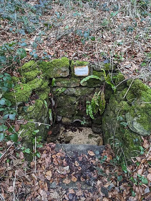 Ashmeads Well, Old Quarries Wood, nr Oakridge, Gloucestershire