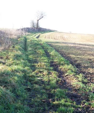 Bridleway to the tops After escaping the confines of the lane, the bridleway follows the field edge.  A footpath to Whittington leaves to the left by passing over a stile before the tree is reached.