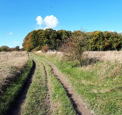 Approaching Lambourn Long Barrow