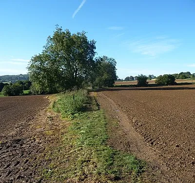 Autumn ploughsoil in the Wash Brook valley