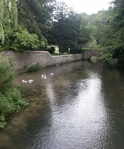 Looking downstream on the Coln, Ablington. From the road bridge in the village.