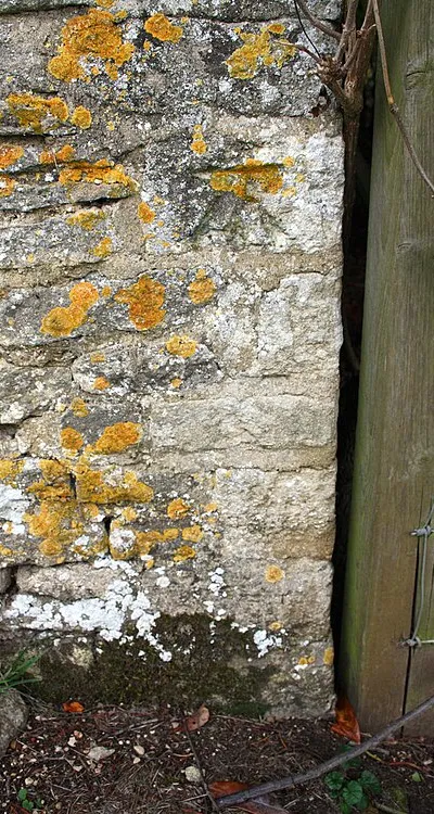 Benchmark on wall at Laurel Bank