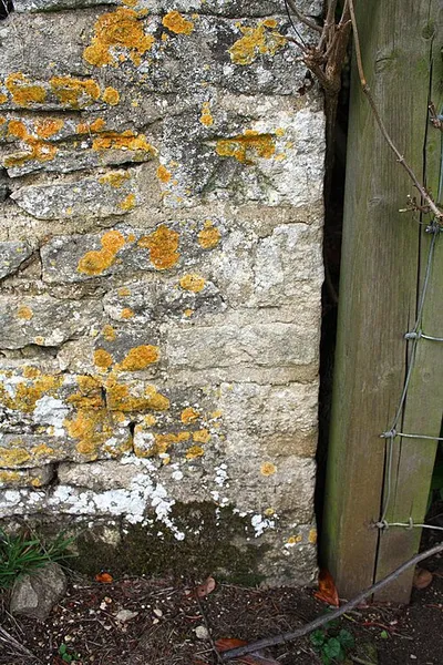 Benchmark on wall at Laurel Bank