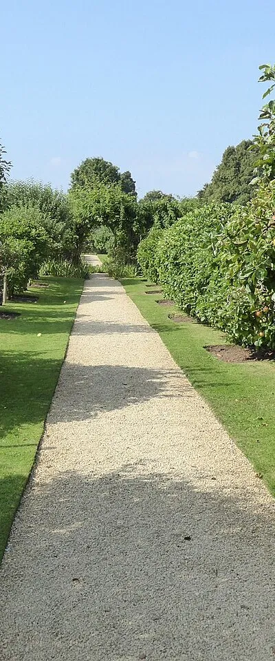 Apple trees at Rousham