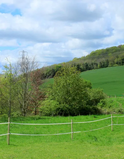 2012 : Roundway Hill, from the bottom