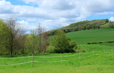 2012 : Roundway Hill, from the bottom