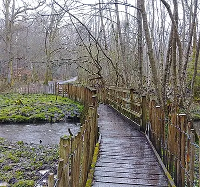 Boardwalk over stream at The Chase