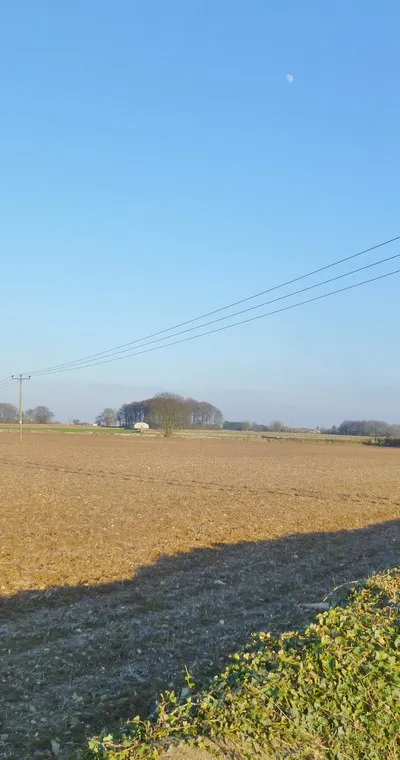 Bisley, arable land