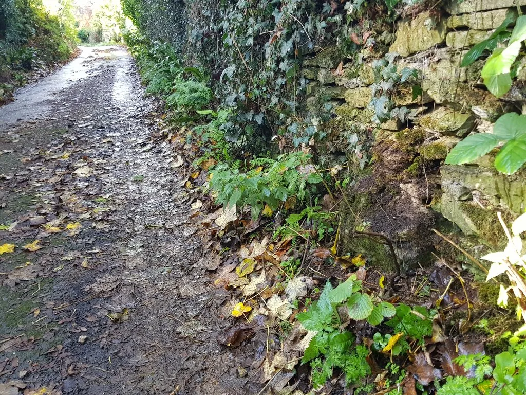 (Possible) Milestone, partially buried