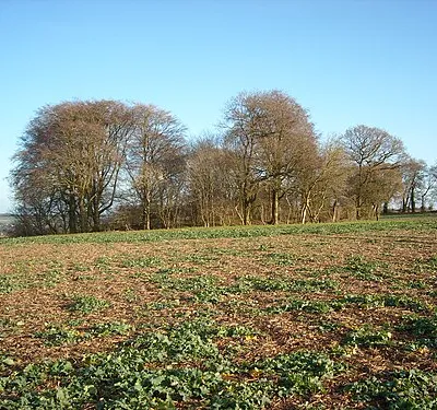 Lewisham Castle