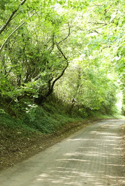 2010 : Lane to Upper Castle Combe
