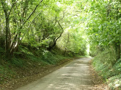2010 : Lane to Upper Castle Combe