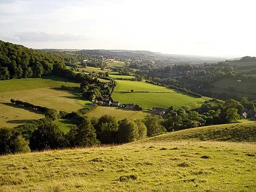 Elliott Nature Reserve at Swift's Hill