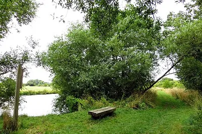Bench by the river
