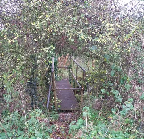 Draycott