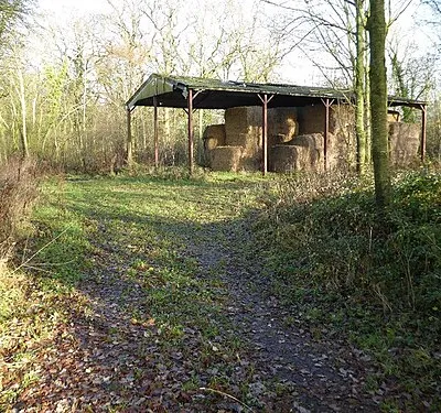 Barn in Longdon Marsh