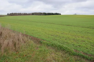 Arable land near Calcot