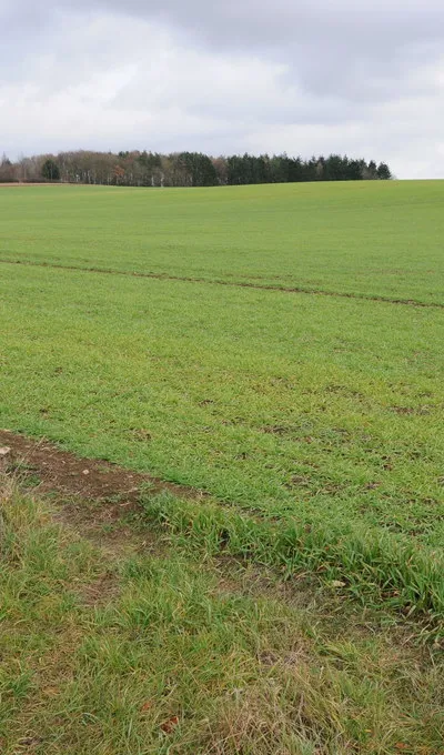 Arable land near Calcot