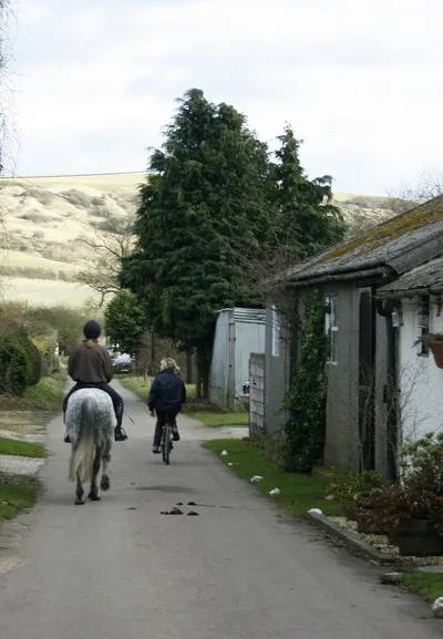 A horse ridden past Turnpike Farm Beacon Hill is in the background.