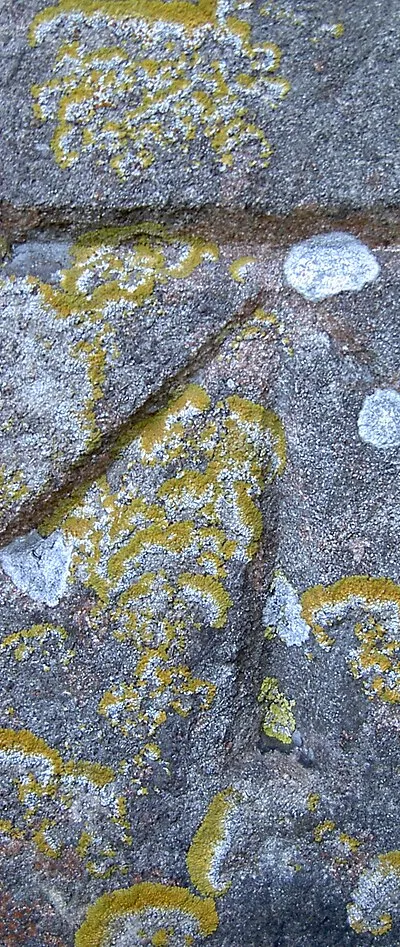 1GL Boltmark on Box church