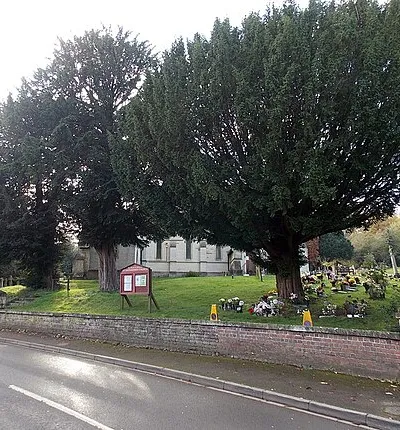 Churchyard perimeter trees, Matson, Gloucester