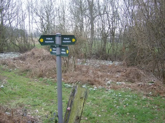 At the junction Junction of 4 footpaths within The Heath, near Mount Prosperous.