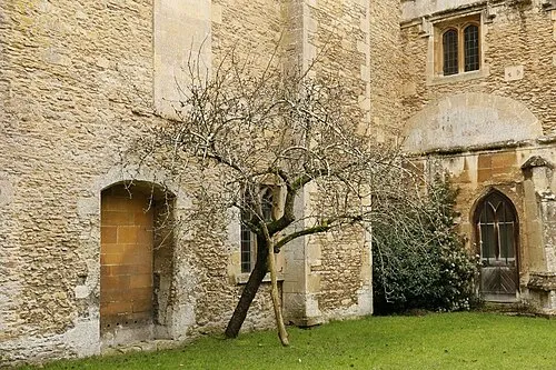 Cloister