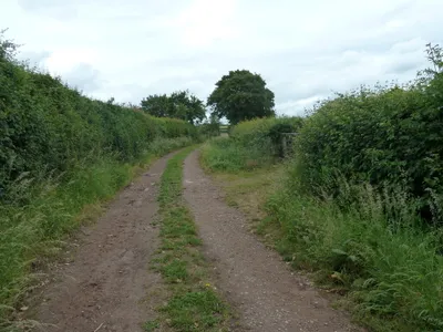 Bridleway near Chacely
