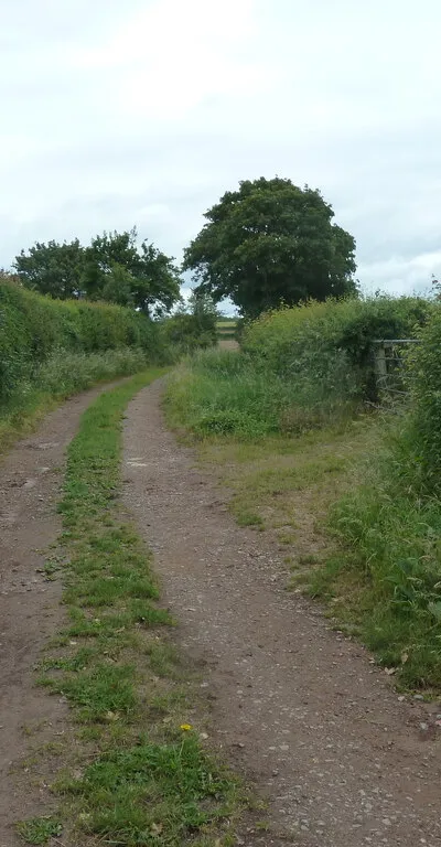 Bridleway near Chacely