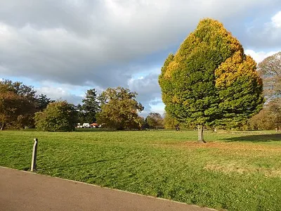 Autumn colours - Westonbirt Arboretum