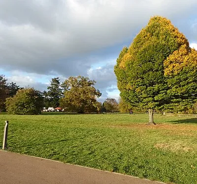 Autumn colours - Westonbirt Arboretum