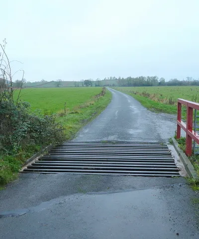 Cattle grid at Hardwick Green