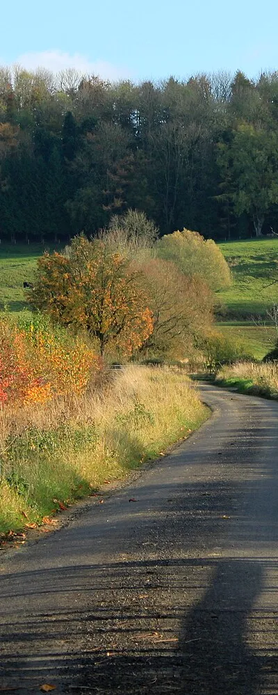 2011 : Highway Common, near Highway