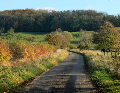 2011 : Highway Common, near Highway