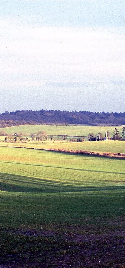 A winter afternoon view across fields between Chisbury and Little Bedwyn