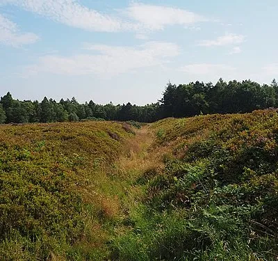 Earthworks in the Cawthorn Roman Camps