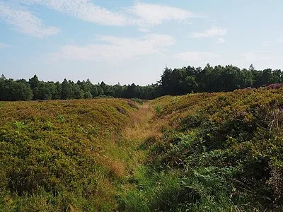 Earthworks in the Cawthorn Roman Camps