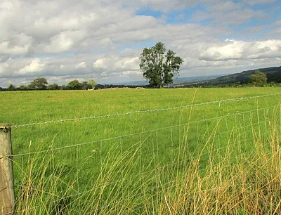 Field by Winchcombe Way