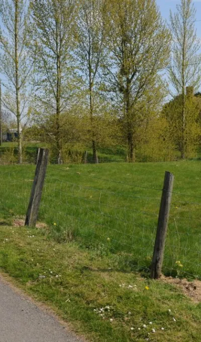 Bridleway near Hardwick Farm